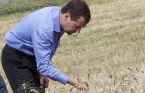 Дмитрий Медведев на уборке зерновых культур.