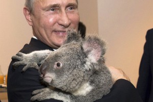 Владимир Путин подержал на руках коалу