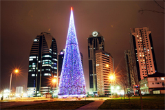 В Грозном установлена самая высокая новогодняя елка в стране.