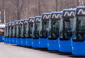 Новые автобусы