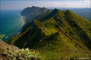 Китай заинтересован в Сахалинском торфе. 