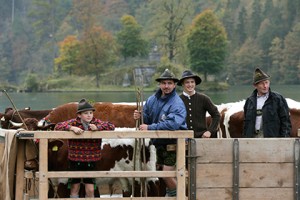 Подмосковные власти в два раза увеличивают финансирование фермерских хозяйств в 2015 году.
