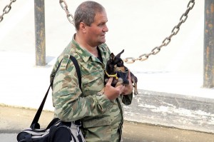 На Чукотке установлены правила содержания и выгула домашних животных