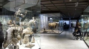 Москва приглашает горожан и гостей столицы  бесплатно посетить знаменитые музеи.