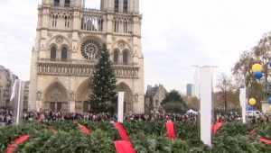 ВВС: Французы рассматривают подаренную Россией новогоднюю  ёлку, как "троянского коня". 