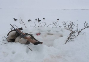 Сезон охоты в Чукотском автономном округе