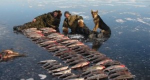 Зимняя рыбалка 