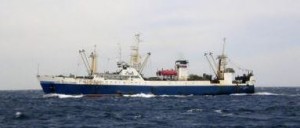 Трагедия в Охотском море: Очевидец крушения "Дальнего Востока" поделился подробностями