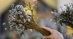 Сегодня большой церковный праздник: Православные россияне отмечают Вербное воскресенье