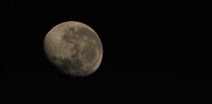 Фото Рязанова