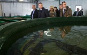 Олег Кожемяко посетил рыбоводный завод