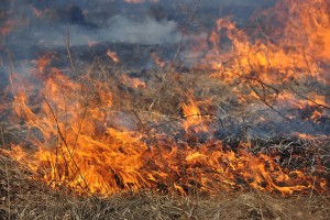 Акция: Хабаровский край собирает помощь пострадавшим жителям Хакасии