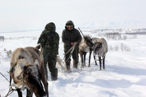 Владимир Печеный побывал в первой оленеводческой бригаде муниципального унитарного сельхозпредприятия «Ирбычан»