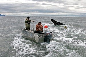 Морская охота. Община «Лорино»