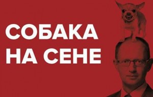 Новости мировой паутины: Фотожаба "Собака на Сене" порвала украинский интернет