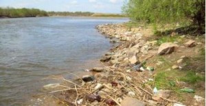 Акция "Чистый берег": В Подмосковье приступили к очистке берегов водоемов