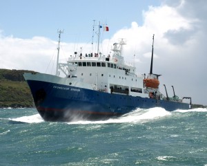 «Профессор Хромов»