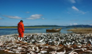 Путина – 2015