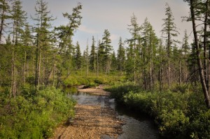 http---leprastuff.ru-data-img-20110910-9b72a24b780e534ff2359c692a0a2723