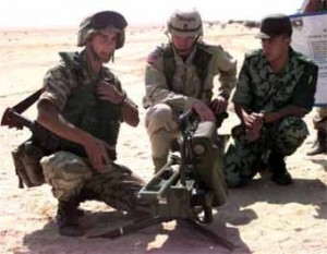 Анатомия предательства: Эмигранты из России готовы воевать с бывшей Родиной