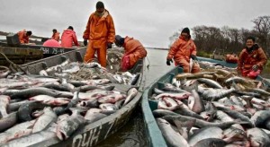 Новости Сахалина. 12 июля Россия отмечает День рыбака
