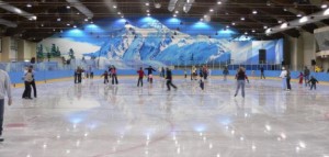 Новости спорта: 600 млн заложено на строительство ледовых арен в Приморье
