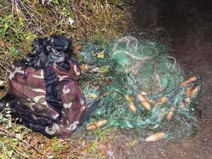 Браконьеры наглеют. Нерест лосося прибавил забот охране "Земли леопарда"