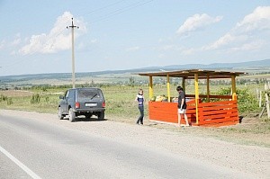 Новости Краснодарского края: Глава Кубани занялся придорожным сервисом