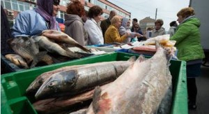 Рыбный рынок 