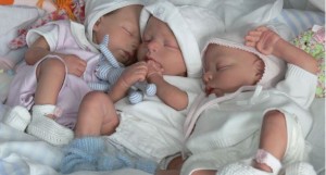 Тройня уже не редкость: 550 двоен и девять троен родилось в Подмосковье за I полугодие 2015 года