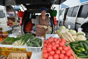 Сельское хозяйство: Овощной урожай в Подмосковье превысит на 18% прошлогодние результаты