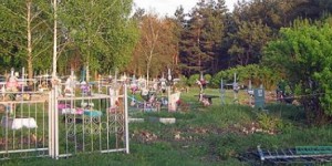 ФСБ и Прокуратура проводят проверку - В Подмосковье обнаружено неучтенное кладбище