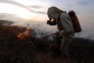 Пожар в тундре