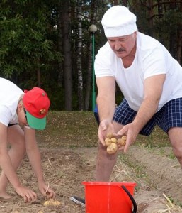 Александр Лукашенко накопал картошки для детей и престарелых белорусов