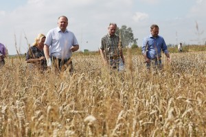 Урожай 2015: Глава Янтарного края Цуканов  познакомился с трудом хлеборобов