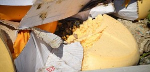 Уничтожение сыра.  Кремль услышал просьбу россиян - не все санкционные продукты будут уничтожены