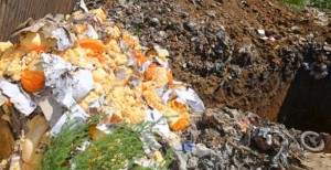 Уничтожение сыра 