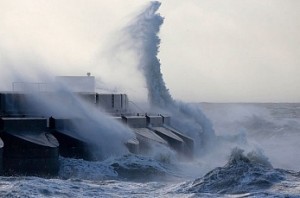 Предупреждение от МЧС: Тайфун «Гони» подходит к Приморью