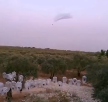 Бомбы-презервативы