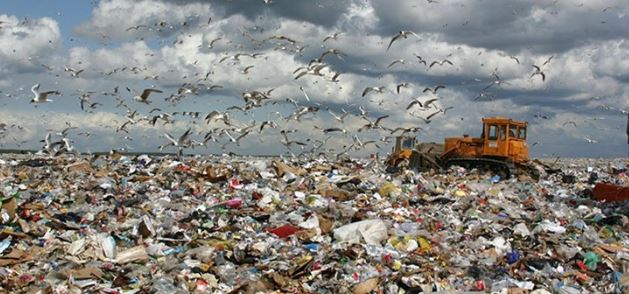 Мусорная свалка