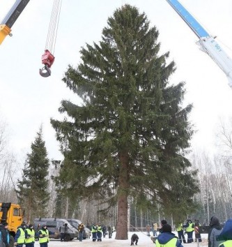 Главная ёлка страны 