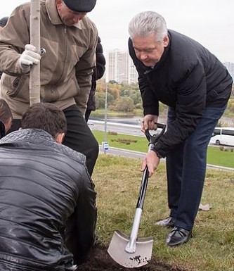 Сергей Собянин высаживает деревья на Каширке
