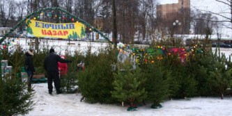 Отслужившие ёлки можно сдать на переработку