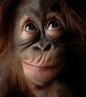 С Новым годом!