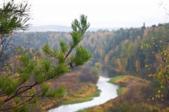 Хабаровский край. Шереметьевский парк.