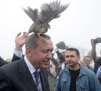 Офицальный представитель Белоголового орлана в Турции нанёс сокрушительный удар по амбициям Эрдогана.
