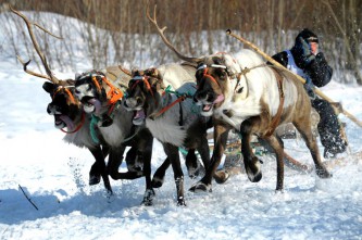 Гонка Эрак'ор