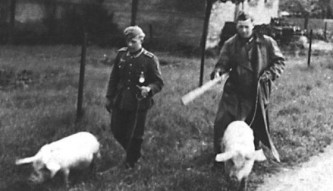 Старыми проторенными маршрутами по Украине...