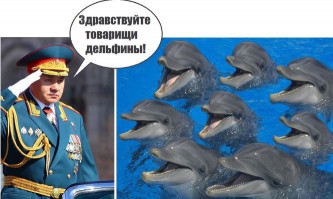 Новый отряд дельфинов появится в рядах ВС РФ.