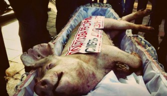 Молдаване похоронили украинскую свинью